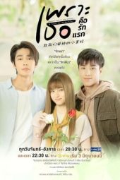 Nonton Drama A Love So Beautiful (2024) Sub Indo