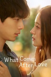 Nonton Drama Korea What Comes After Love (2024) Sub Indo