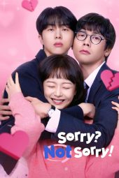 Nonton Drama Korea Sorry Not Sorry Sub Indo